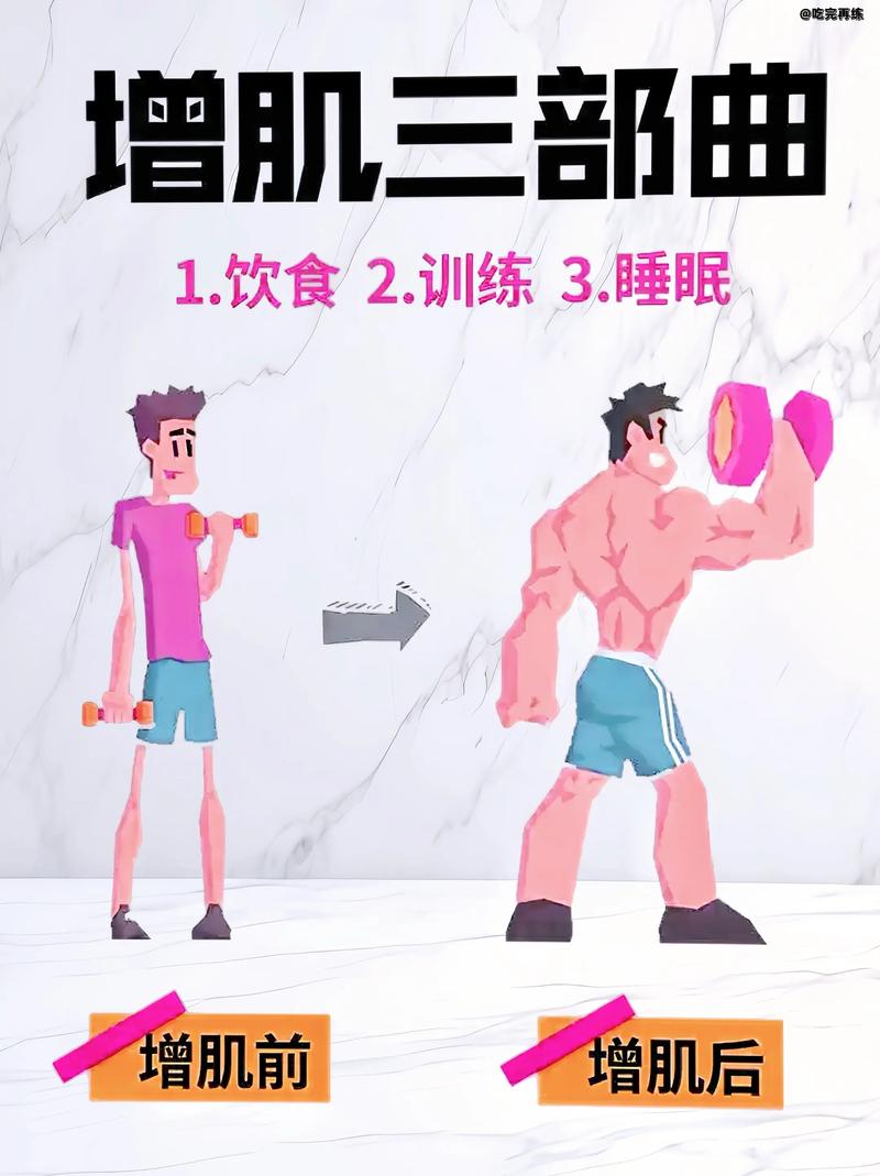 增肌训练方法