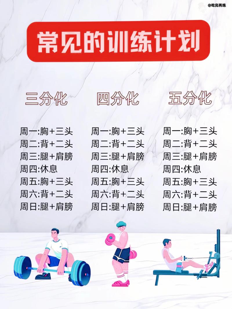 健身训练计划